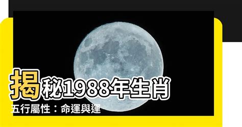 1988年 五行|【1988年五行】1988年五行屬什麼？龍年出生五行缺什麼？